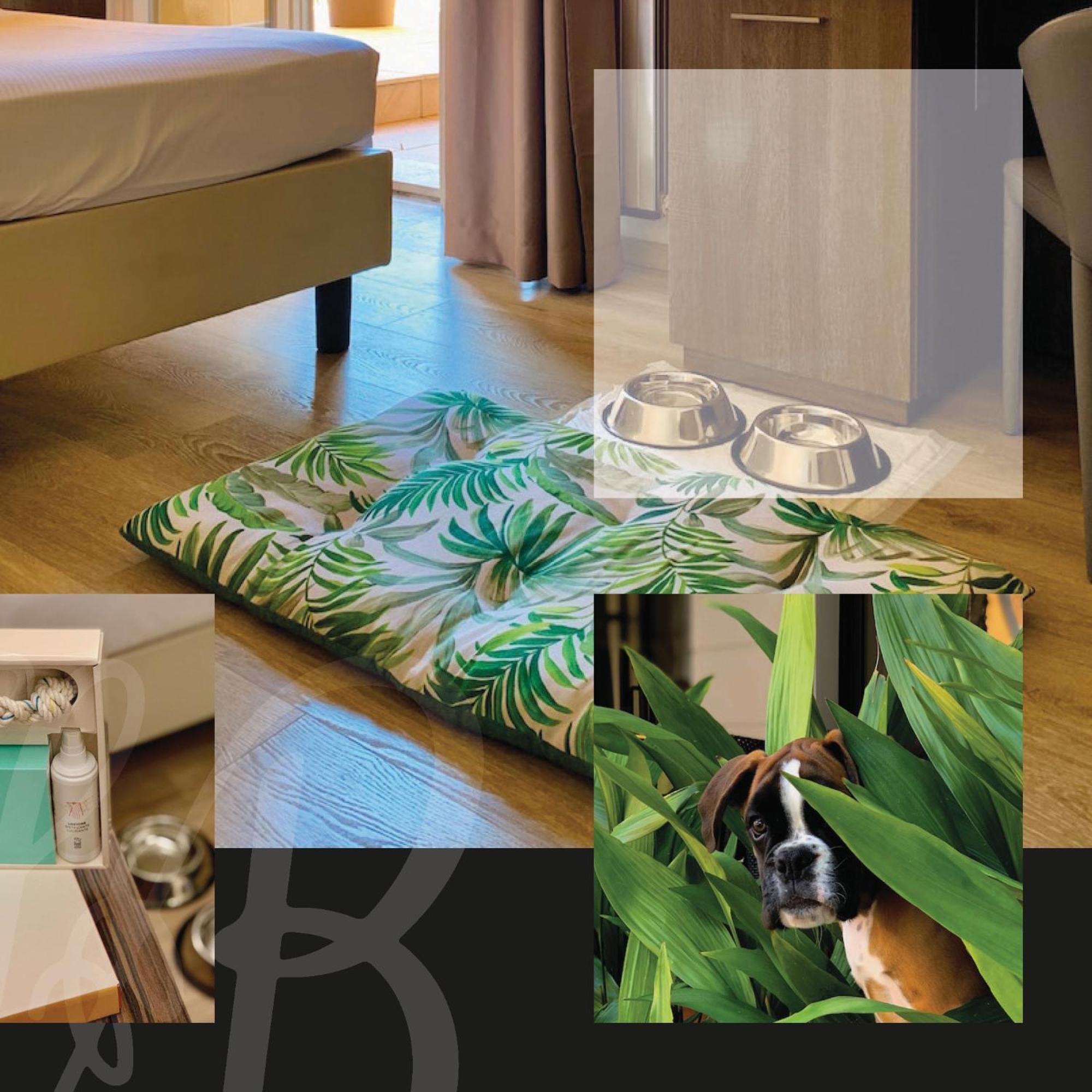 Hotel Brescia Boario Terme Esterno foto